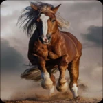 horse wallpapers android application logo